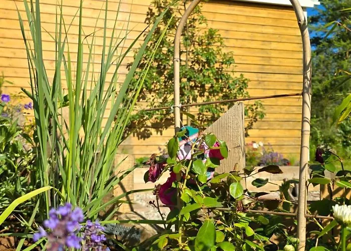 Bosko Beztrosko * Dębki