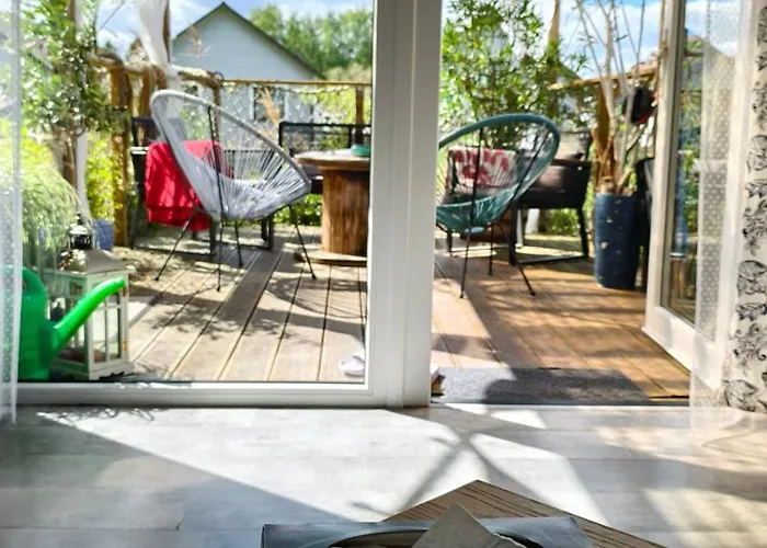 Bosko Beztrosko * Dębki